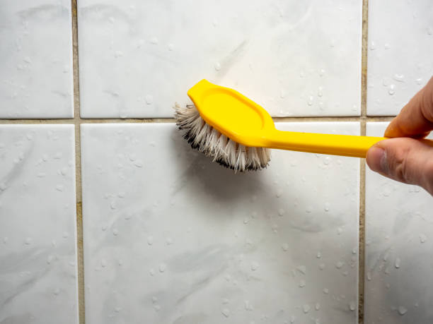 Certified Mold Removal in Madera Ranchos, CA