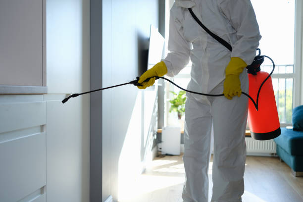 Best Residential Mold Removal  in Madera Ranchos, CA