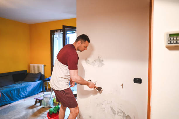 Best Local Mold Removal Service  in Madera Ranchos, CA